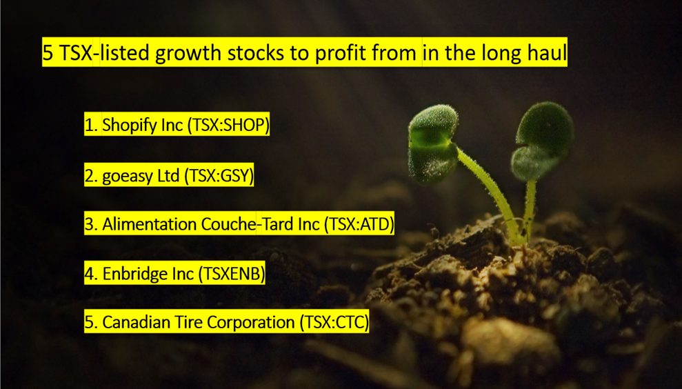 5 TSX growth stocks to hold the long haul