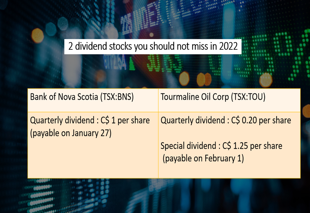 Scotiabank (BNS) & Tourmaline (TOU): 2 TSX dividend stocks to not miss