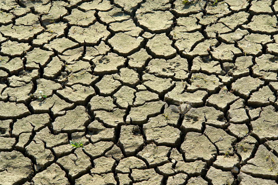 2022, a crucial year for climate change