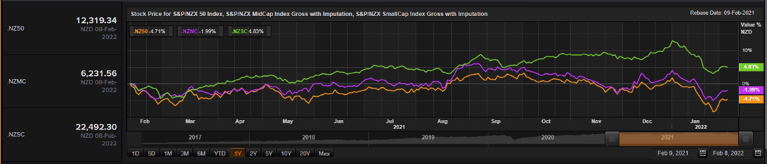 S&P/NZX 50 Index vs SmallCap Index vs MidCap Index – Performance Over One Year