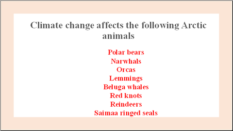 Climate change affects various Arctic animals