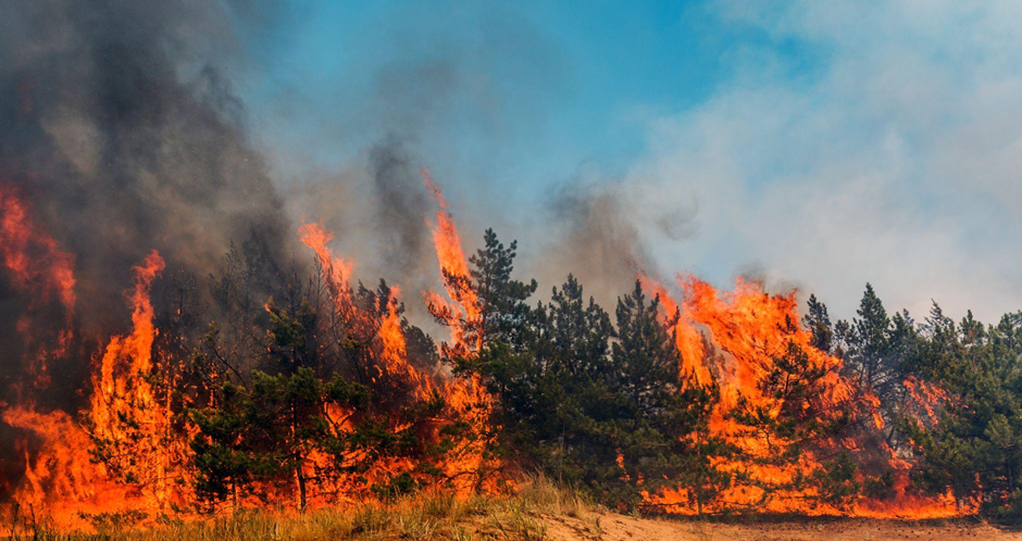 climate change and wildfires