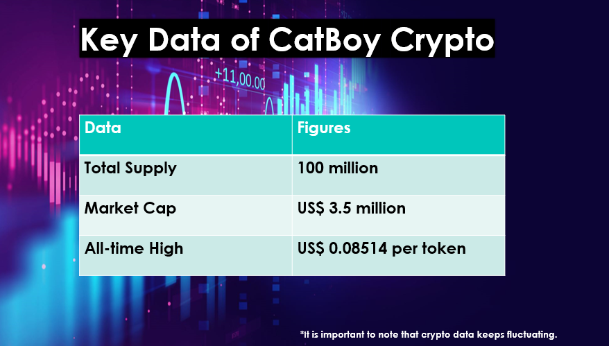 CatBoy Crypto