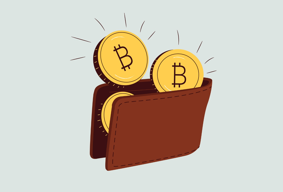 cryptocurrency wallet, Exodus, Ledger