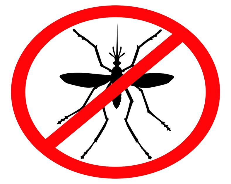 Globally, there are more than 200 million cases of malaria