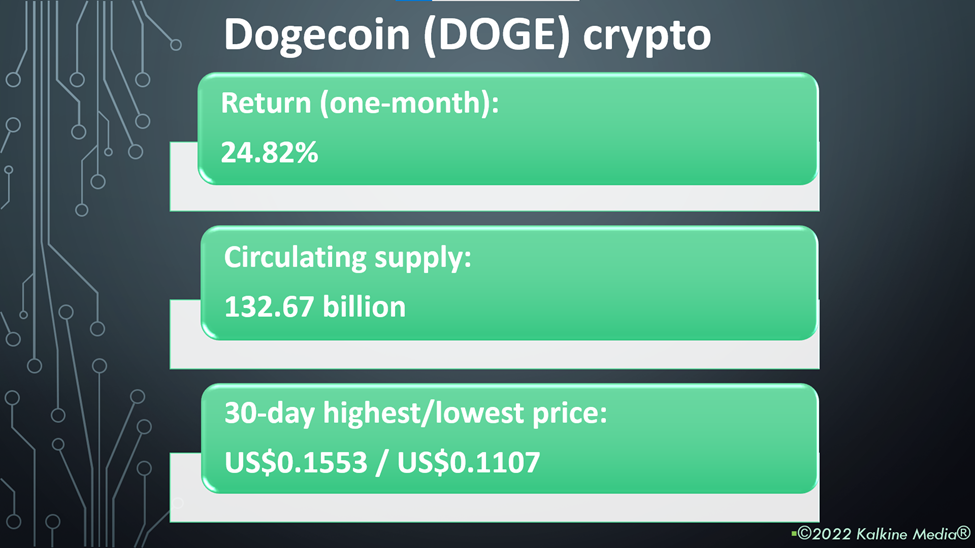 Dogecoin (DOGE) crypto price and performance