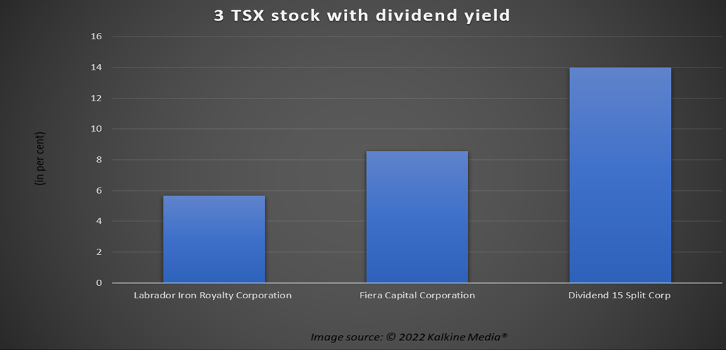 LIF, FSZ and DFN: 3 high-yield dividend stocks for beginners