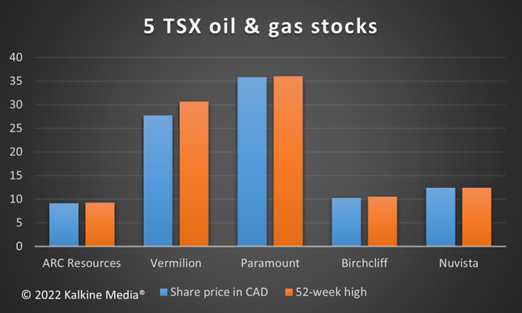 ARX, VET, POU, BIR & NVA: 5 TSX stocks that may gain on EU Russian oil-ban