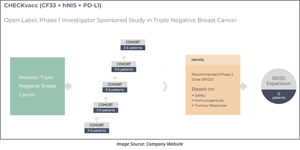 Phase 1 clinical study of CHECKvacc