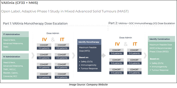 Phase 1 clinical study of VAXINIA