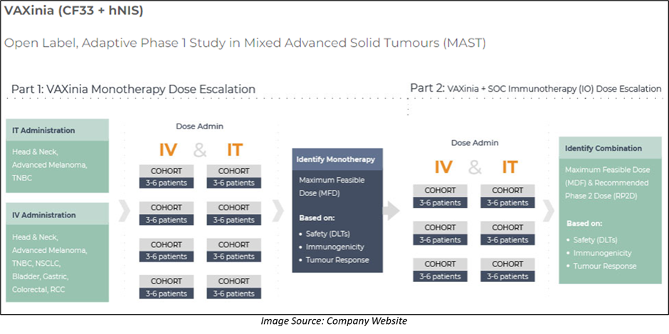 Phase 1 study design of VAXINIA trial