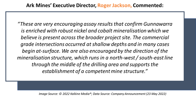 Ark Mines’ comment on Gunnawarra Nickel-Cobalt Project