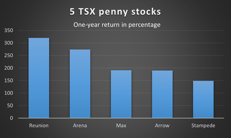 Multibagger TSXV stocks