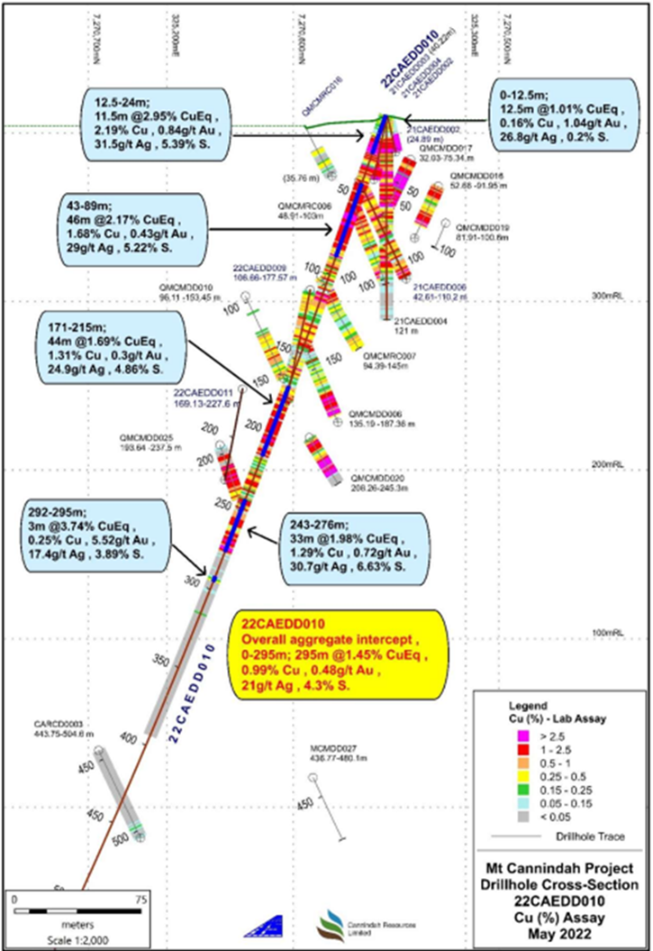 CAE drilling results