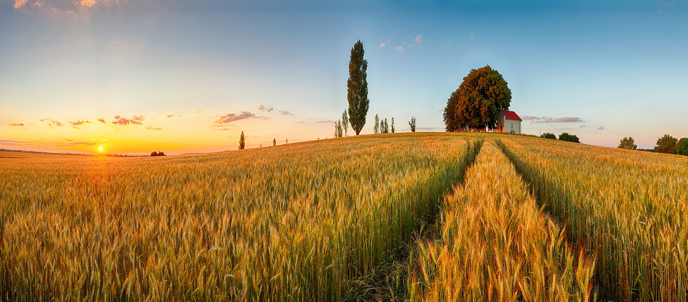 Top agri stocks to watch amid rising prices: ADM, CTVA, MOS, BG & CF