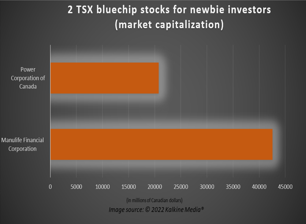 2 TSX bluechip stocks for newbie investors: Manulife (MFC) and POW