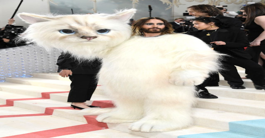 Karl Lagerfeld's cat Choupette was unimpressed by Jared Leto's Met Gala  costume