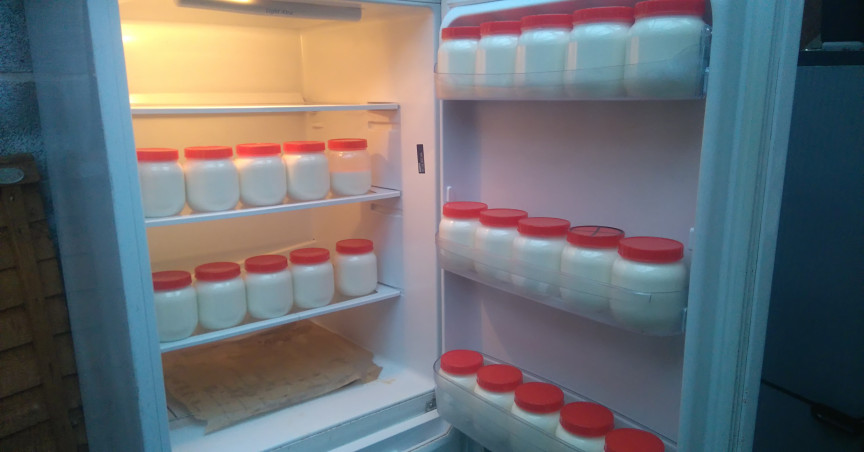 Richard's fridge full of goat's milk