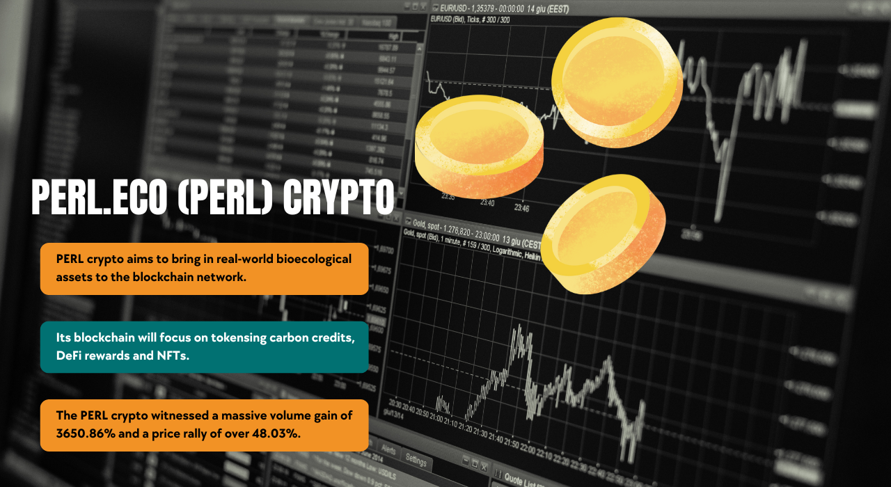 one pearl crypto