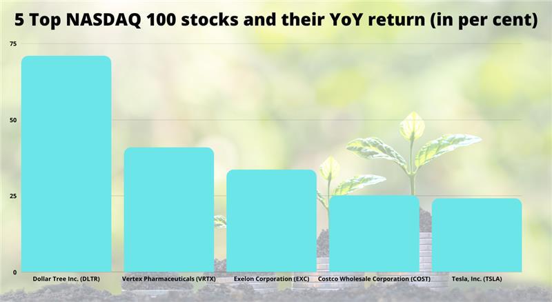 5 Top NASDAQ 100 stocks and their YoY return (in per cent)