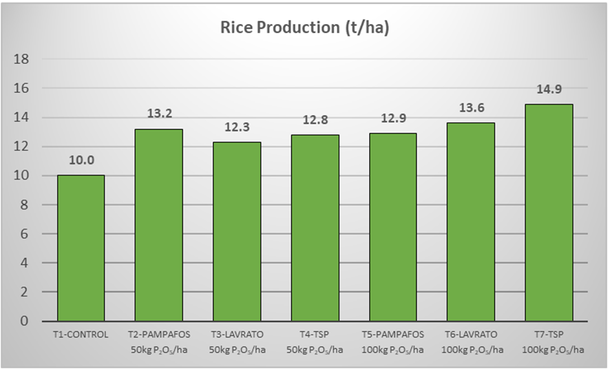Rice production resulting from each treatment