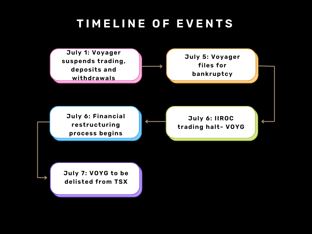 Voyager bankruptcy