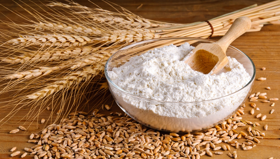 GNC specialises in food business