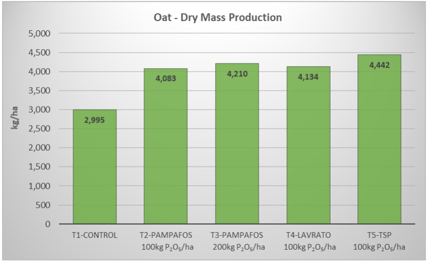 Oat dry mass production resulting from each treatment