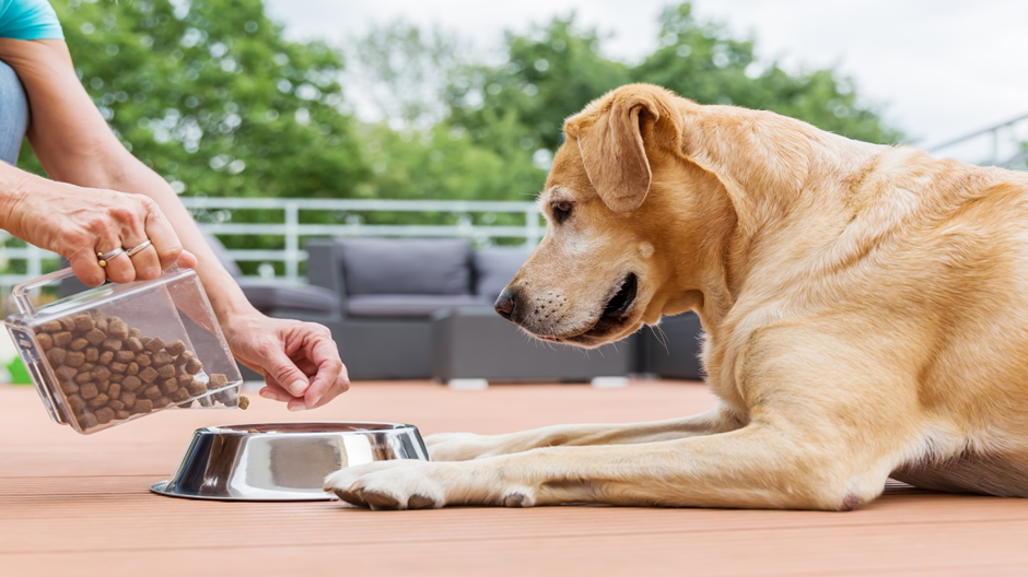 RIC provides animal nutrition solutions