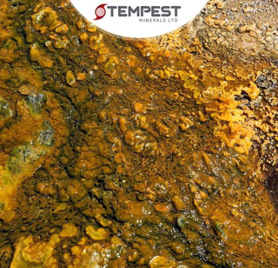 Tempest Minerals