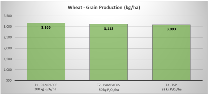 Wheat grain production resulting from each treatment