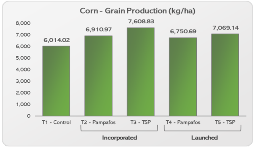 Corn grain production resulting from each treatment