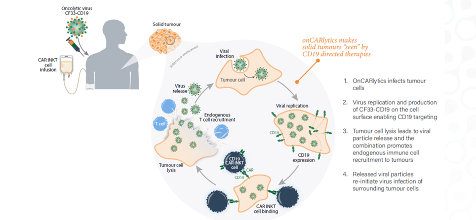 Mechanism of action