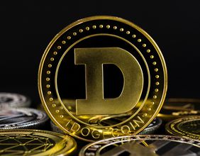 Does Doge Stock Exist? How To Buy A Dogecoin?