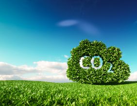 Neo Performance Materials (TSX:NEO) Unveils Upgraded Emissions Control Catalyst Plant in Zibo, China