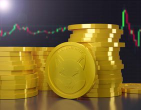 Should You Invest in Shiba Inu Coin?