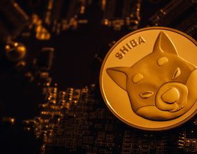 After Shiba Inu’s rally, 5 meme cryptos to watch in 2022