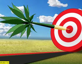 3 Canadian cannabis stocks to buy under $20