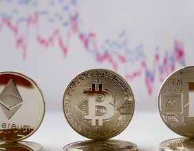 Everdome Crypto: How to buy the token?