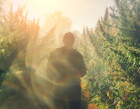 Top 2 cannabis stocks to watch in 2022