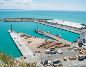 Napier Port (NZX:NPH): What were its trade volumes in 1Q 2022?