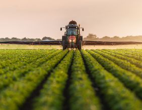 Which are 5 prominent NZX agriculture stocks to follow in 2022?