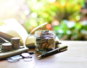 Would 4 NZX penny stocks prove to be multibaggers this year?