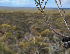 Jindalee sells 70% stake in Prospect Ridge Project to GWR