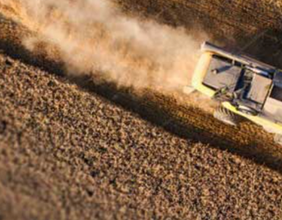 Aguia Resources (ASX:AGR) welcomes first ruling in TEPP case