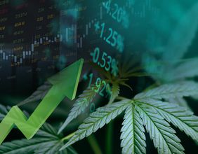 RUA, CBD: 2 NZX sin stocks for cannabis lovers