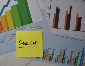From KPG, RBD to OCA- 5 NZX small caps flying high in 2022