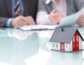 ARG, IPL- Have these 2 stocks declared dividends in FY22 results?