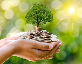What is making EverGrow Coin (EGC) crypto rally?