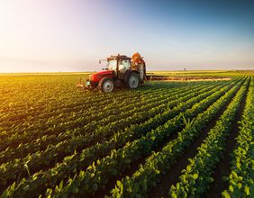 PGW, SEK, LIC: 3 agri stocks amid new emission reduction norms
